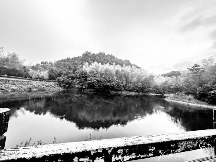 Street Photography: Capturing the Essence of Urban Life