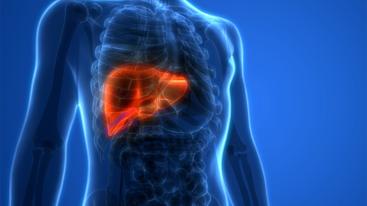 Scientists Announce Breakthrough Experimental Therapy for Deadly Fatty Liver Disease