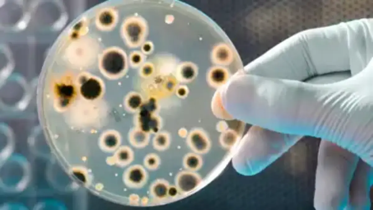 CDC Reports Surge in Drug-Resistant “Nightmare Bacteria” Cases Across U.S.