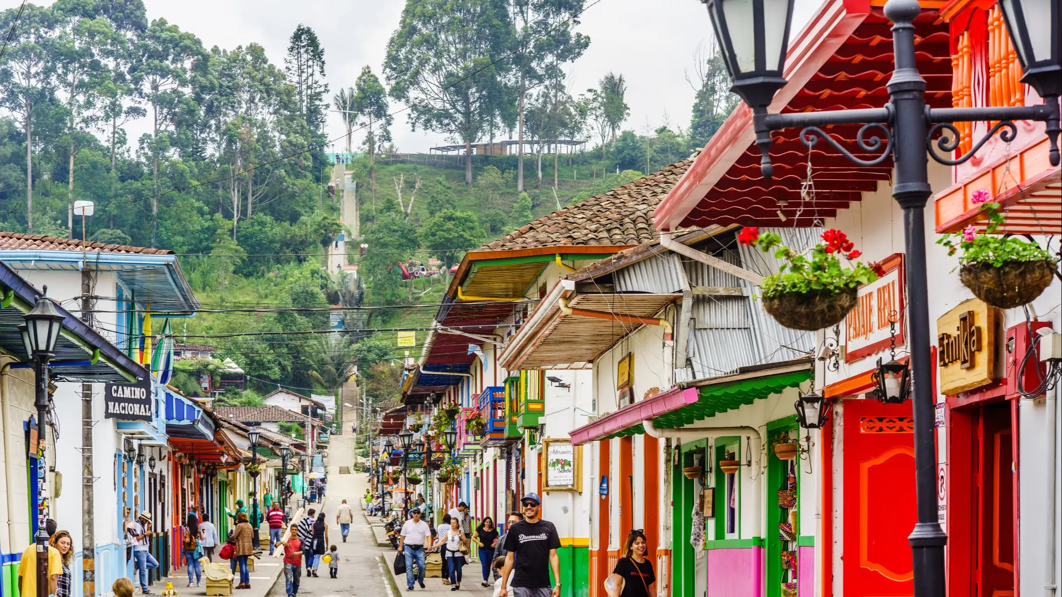 Colombias-Coffee-Region