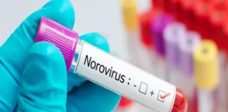 Wastewater Shows Norovirus Spreading Early This Year