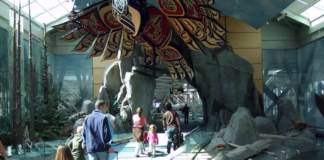 Canada Joins U.S. and China in Warning Citizens About Travel to South Africa