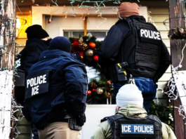 ICE Arrests Surge Under Trump as Nearly 75,000 Detainees Have No Criminal Records