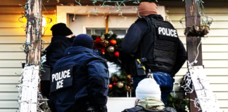 ICE Arrests Surge Under Trump as Nearly 75,000 Detainees Have No Criminal Records