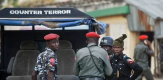 Deadly Suicide Bombing Leaves at Least 10 Dead in Nigeria’s Borno State