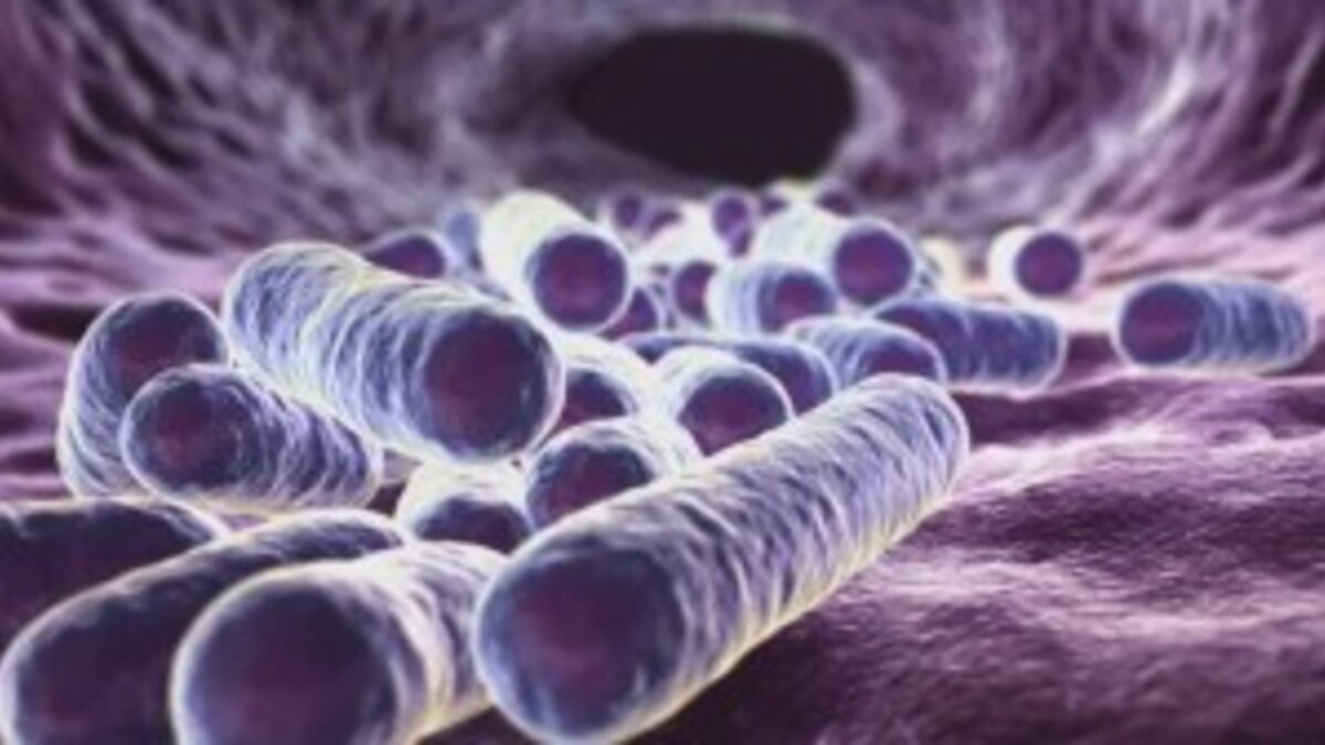 Thomas Partey Wins 2025 Ghana Footballer of the Year Award