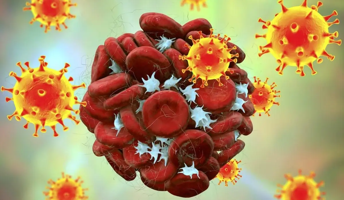 Common Viruses Linked to Sharp Rise in Cardiovascular Disease Risk