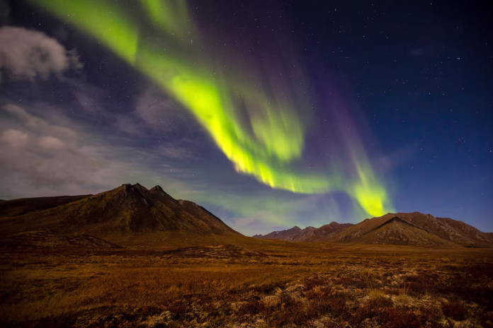 Northern Lights Whitehorse Yukon
